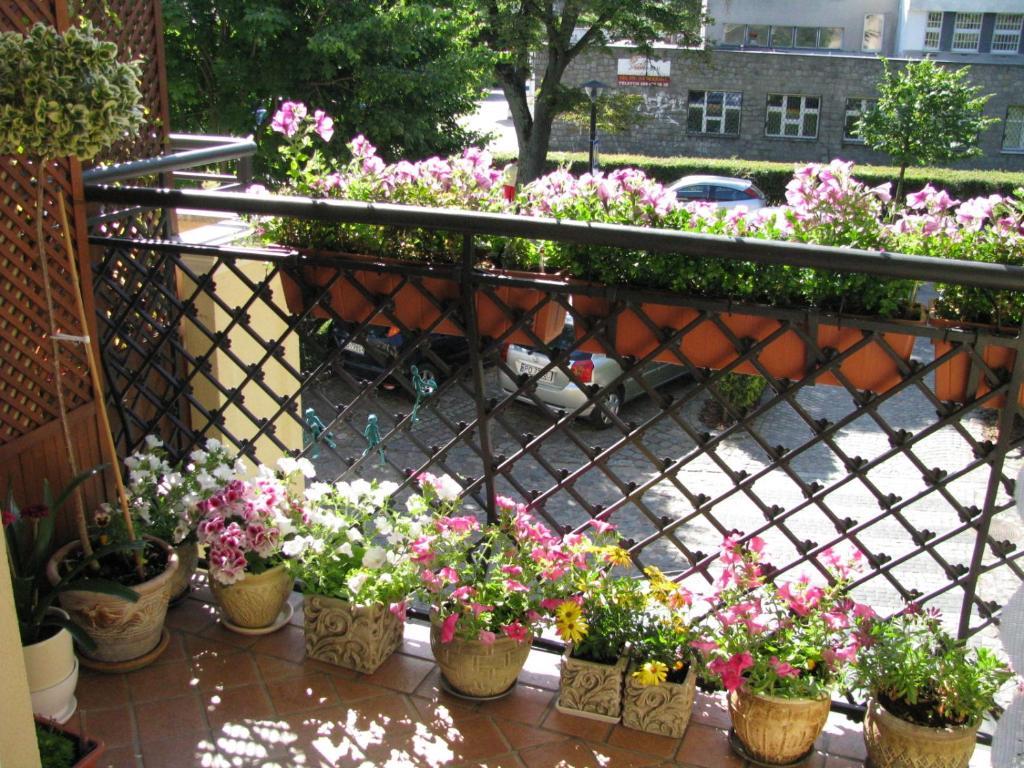 Apartment Patio Mare Amber